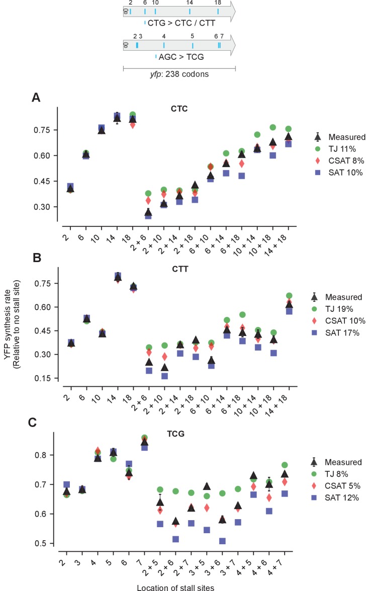 Figure 5—figure supplement 1.