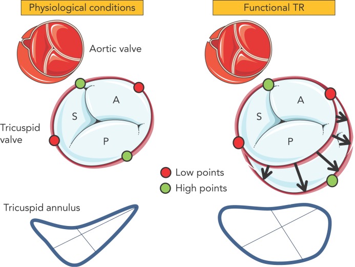 Figure 1: