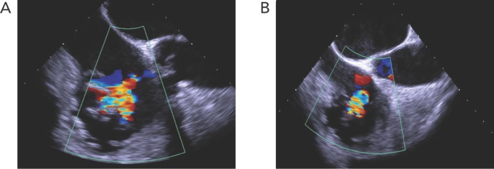 Figure 5: