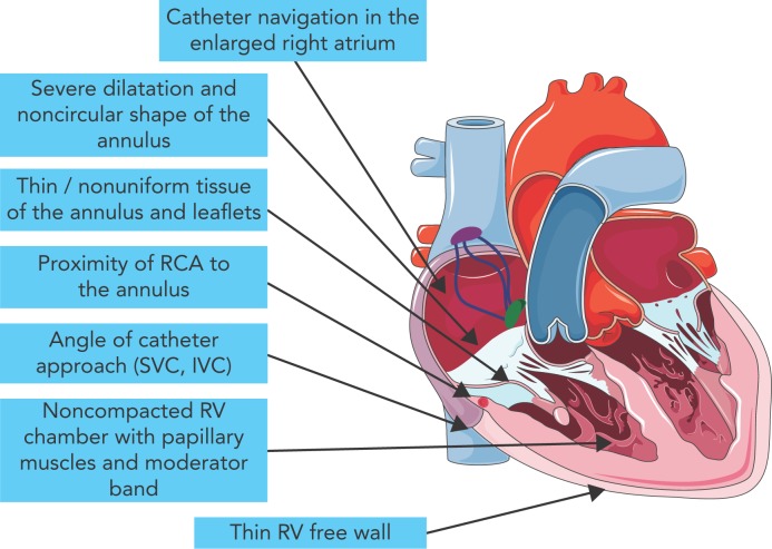 Figure 2: