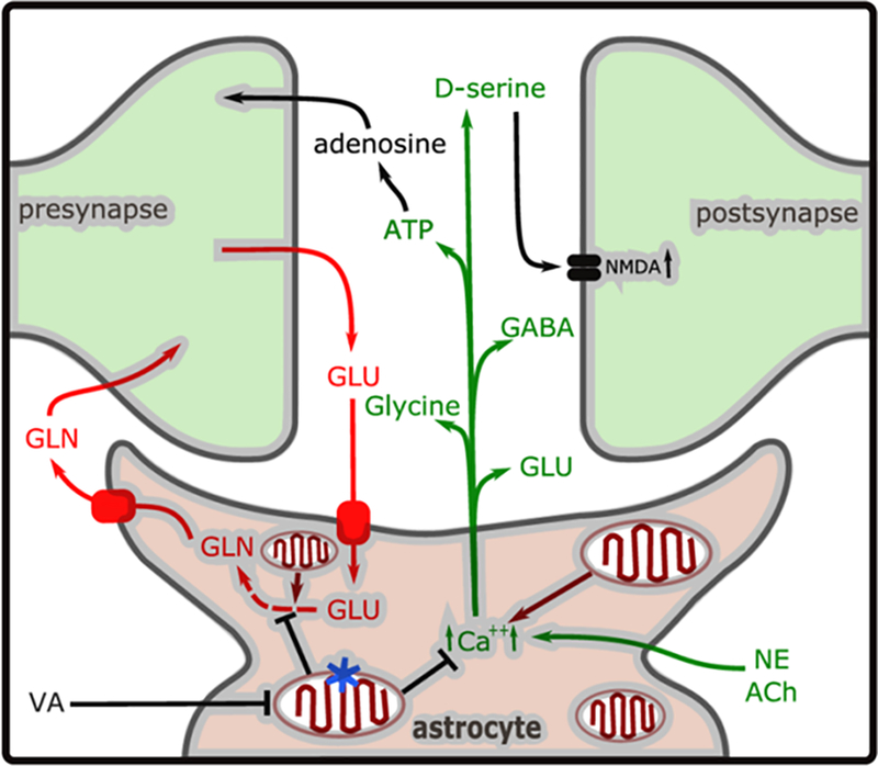 Figure 6.