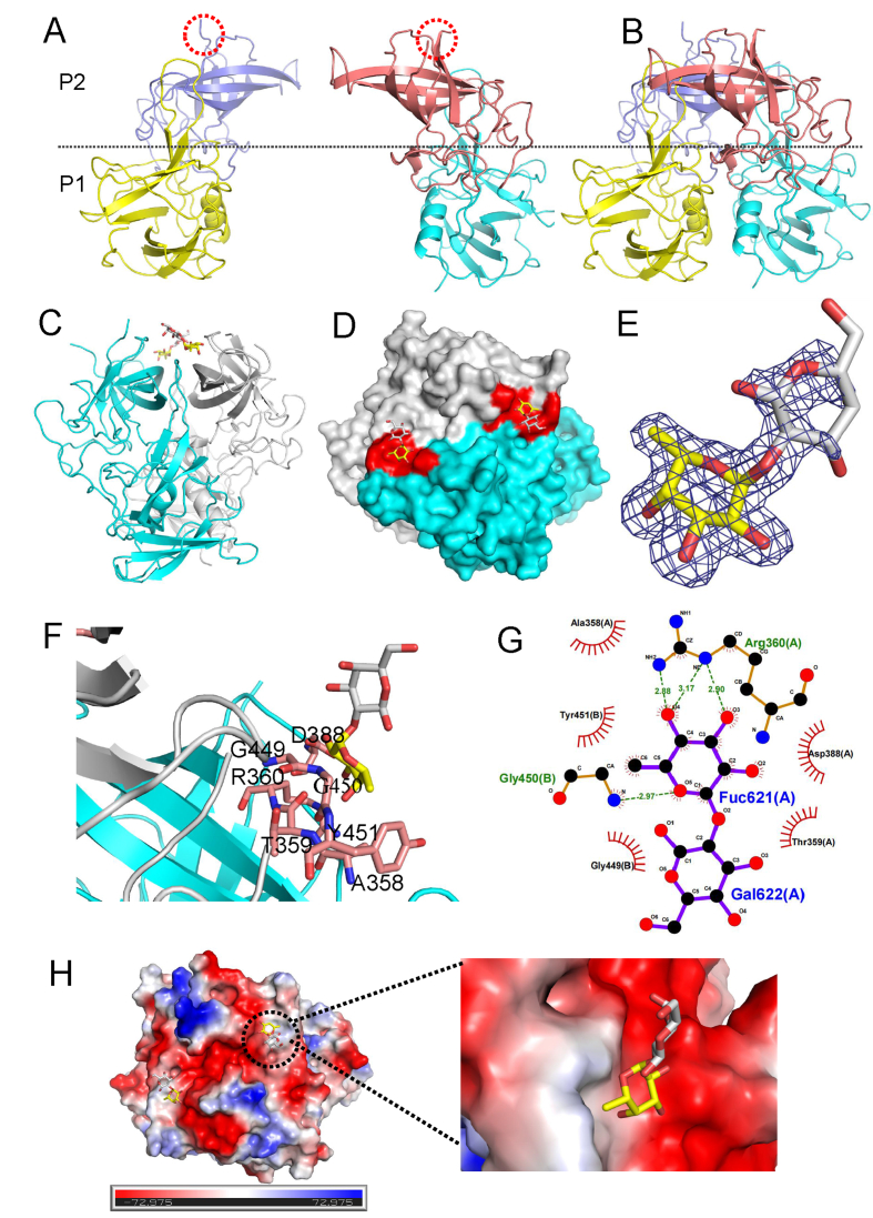 Fig. 4