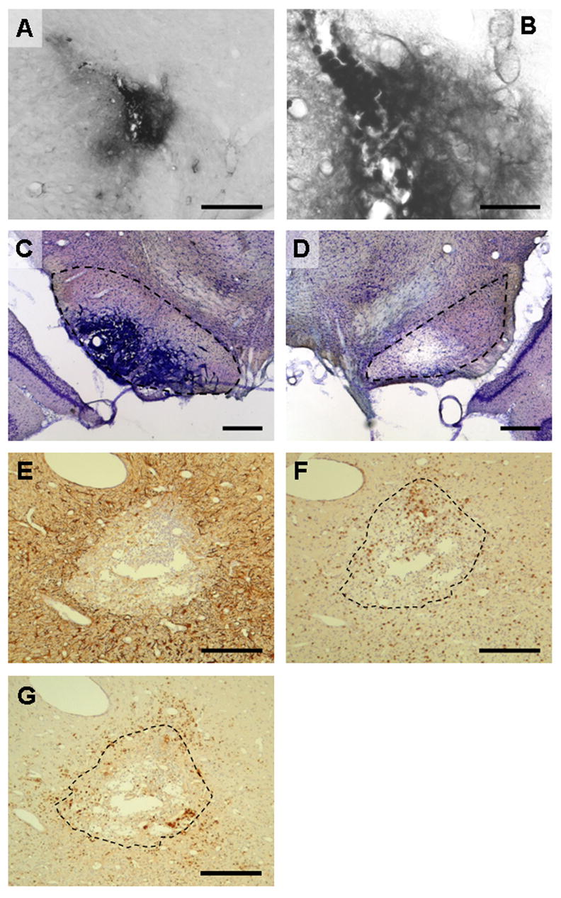 Fig. 8