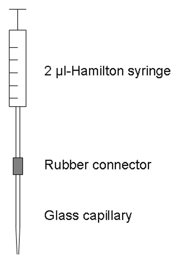 Fig. 2