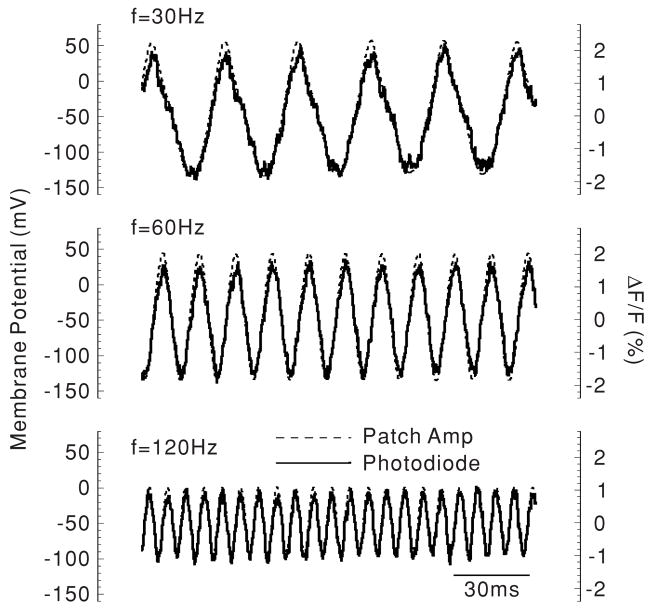 Figure 5