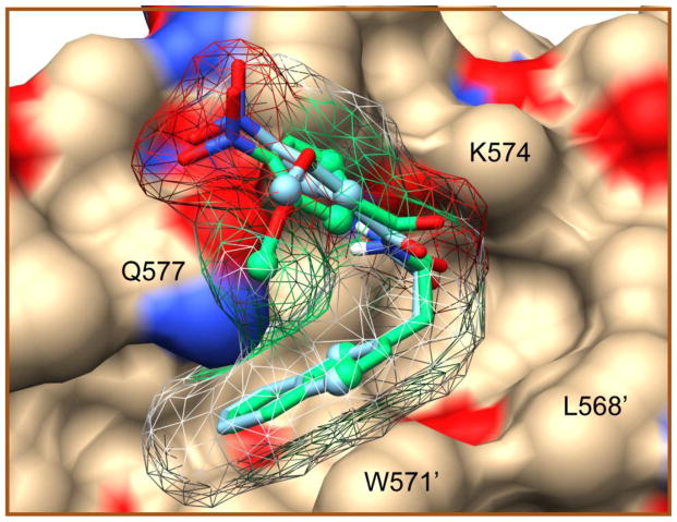 Figure 11