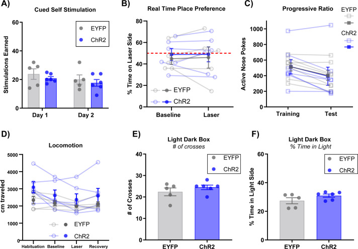 Figure 4—figure supplement 5.