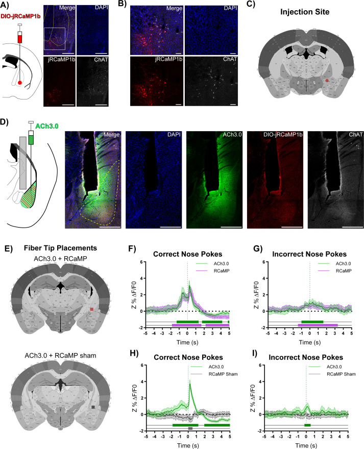 Figure 2—figure supplement 9.