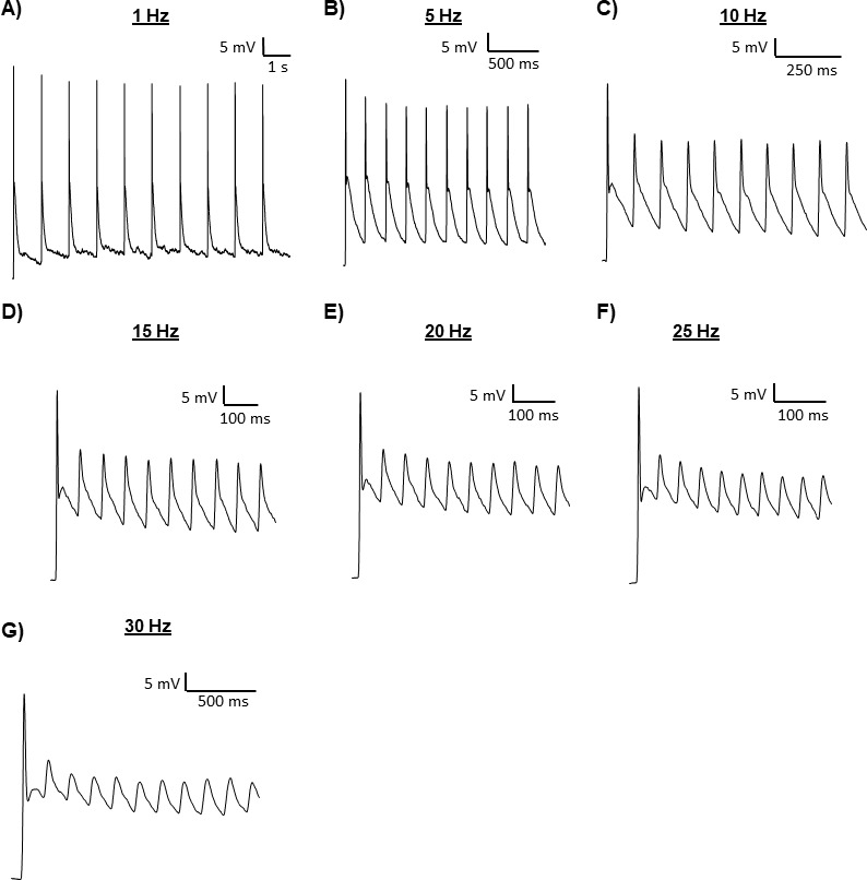 Figure 4—figure supplement 2.