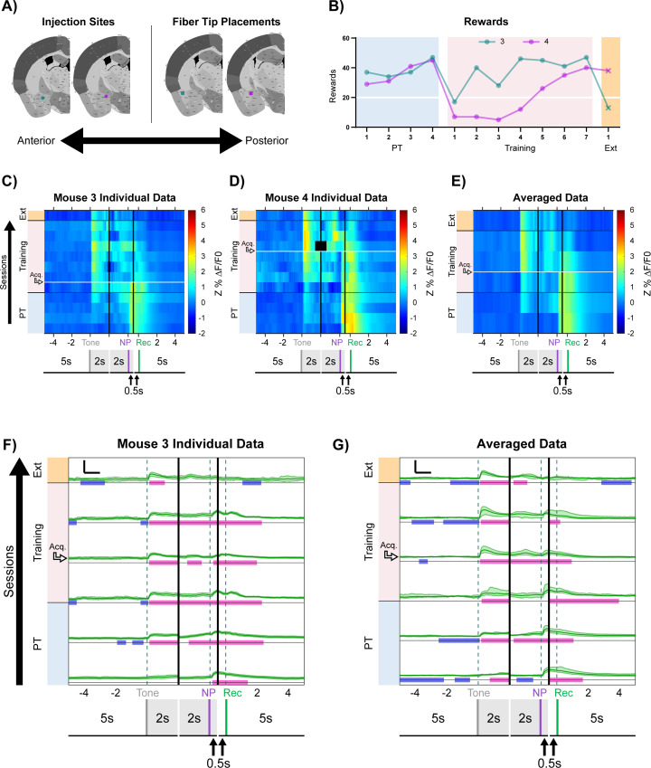 Figure 2—figure supplement 7.