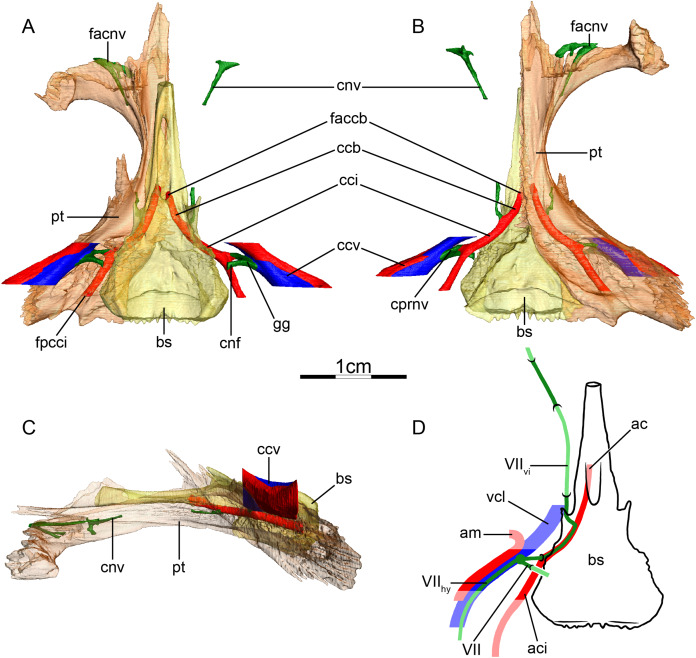 Figure 13