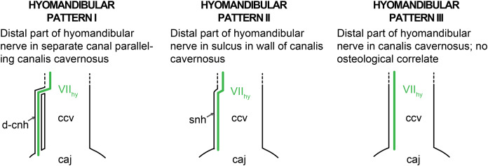 Figure 19