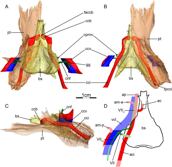 Figure 11