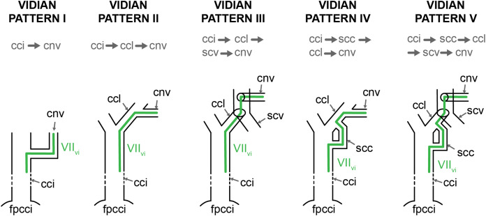 Figure 20