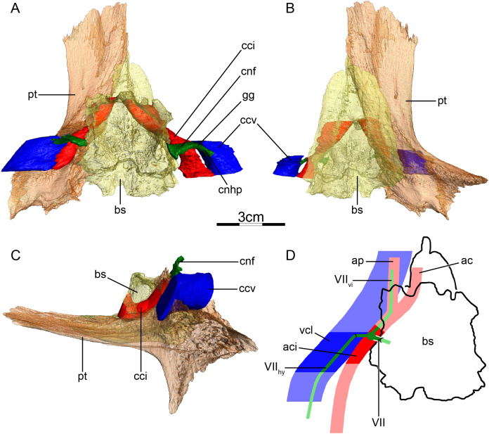 Figure 12