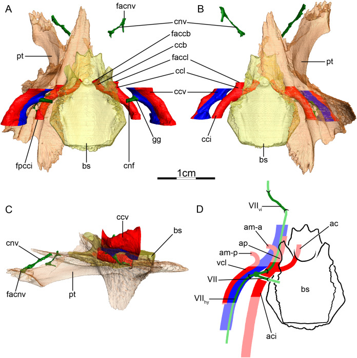 Figure 9