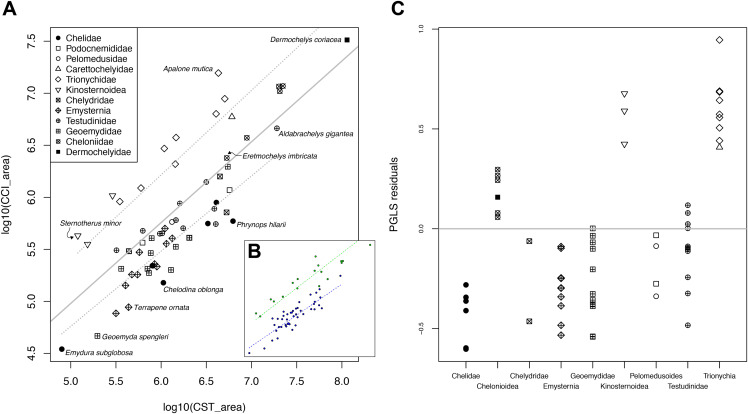 Figure 21