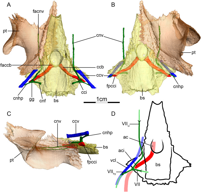 Figure 5