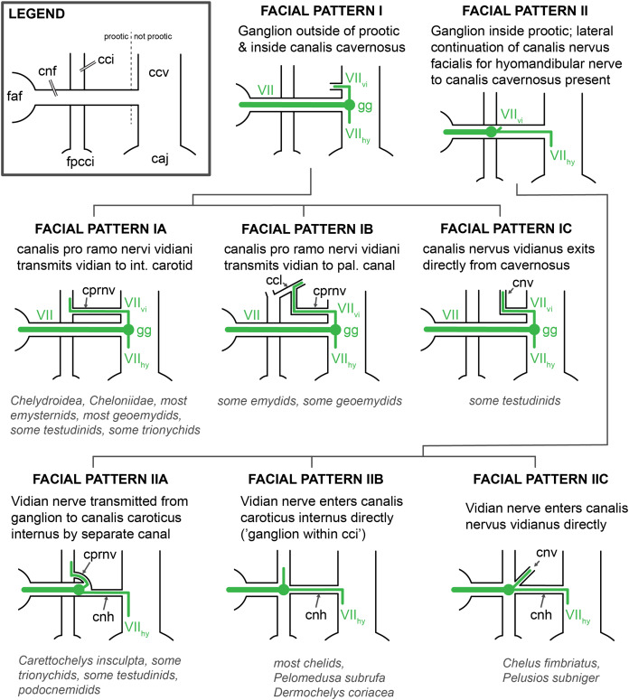 Figure 18