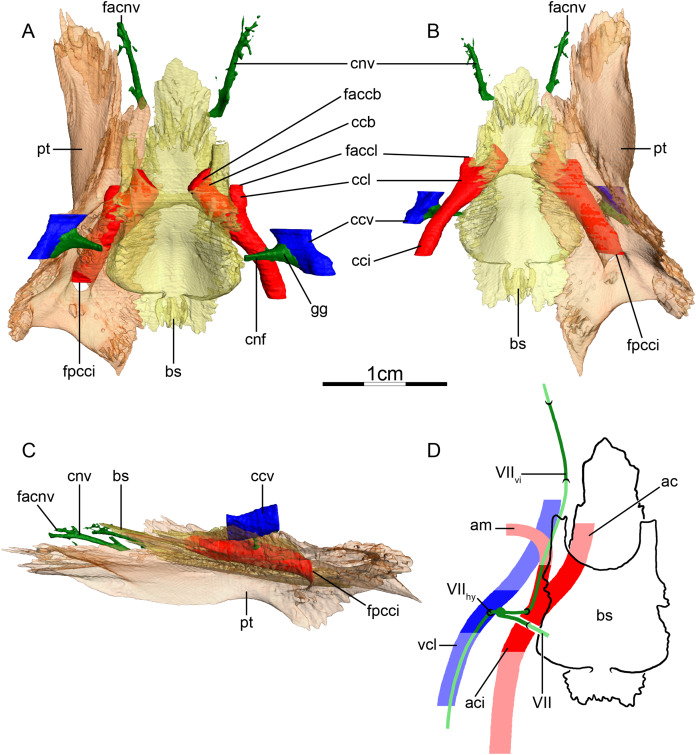 Figure 7