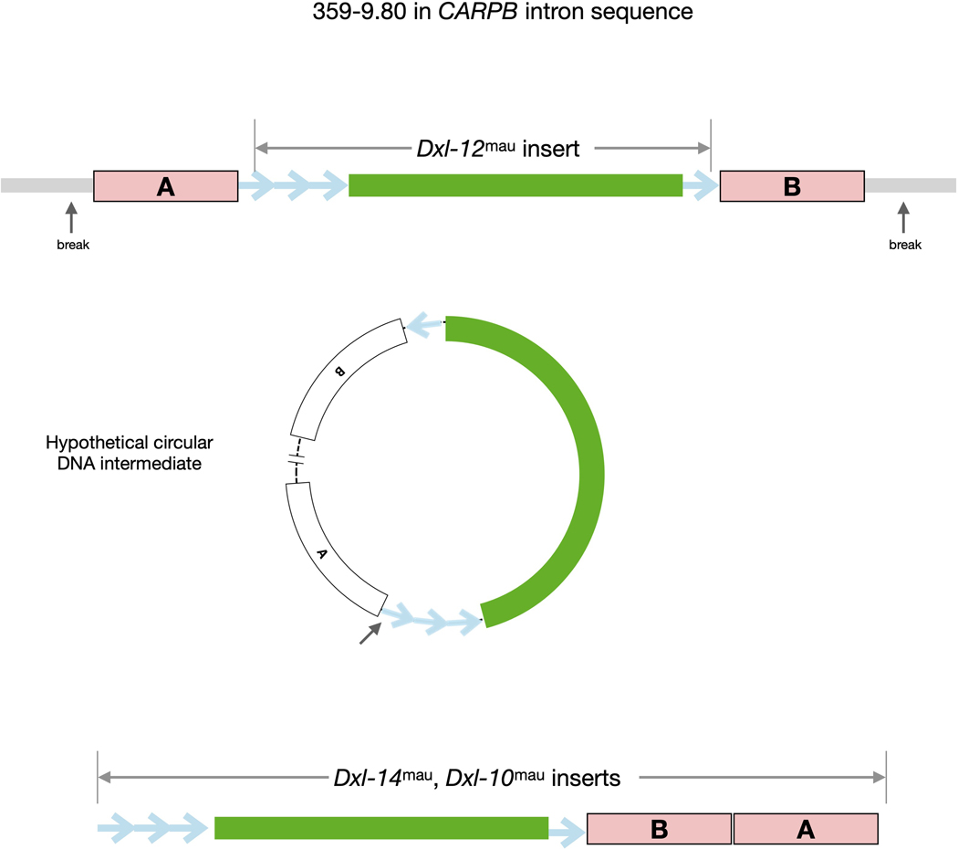 Extended Data Fig. 4.