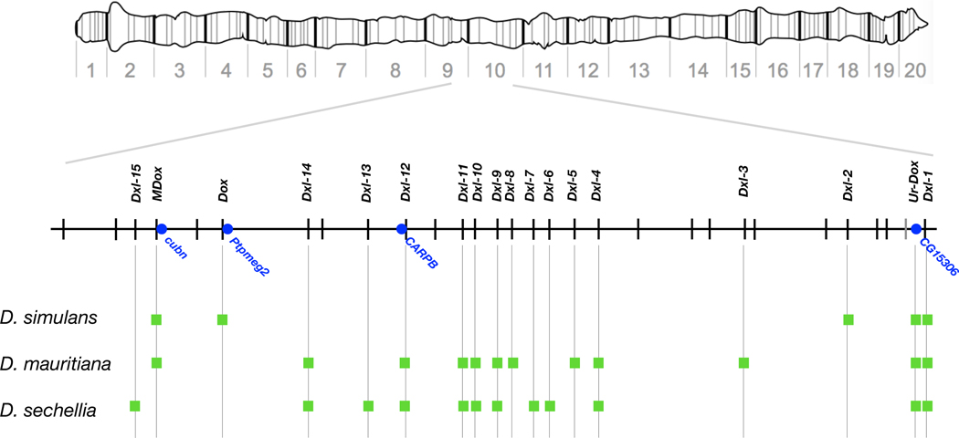 Figure 1.