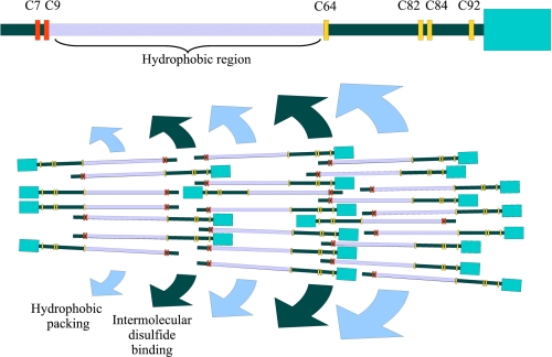 FIGURE 7.