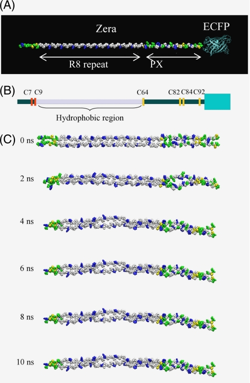 FIGURE 6.