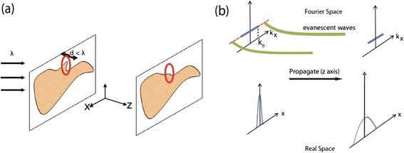 Figure 9