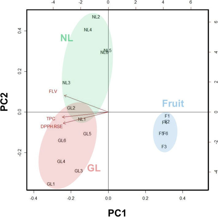 Fig. 6