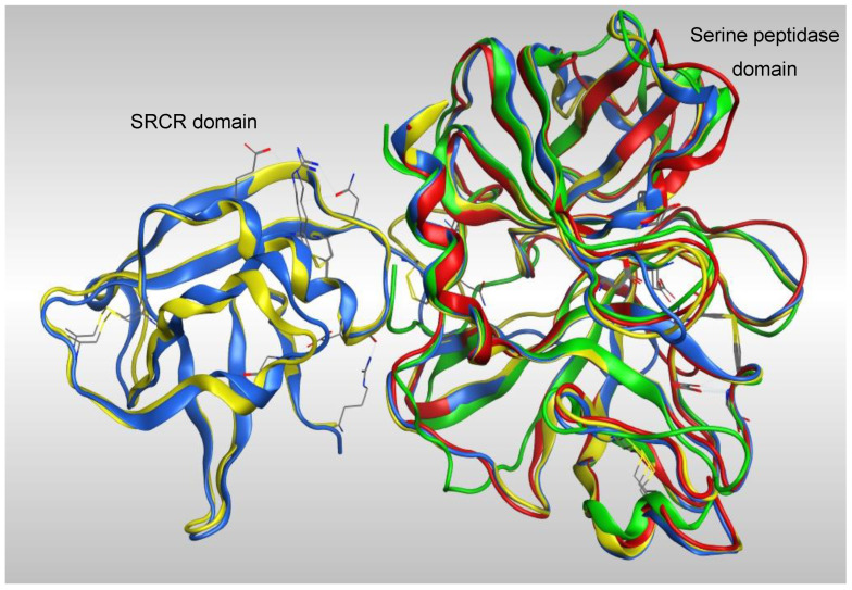 Figure 3