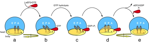 Fig. 5.