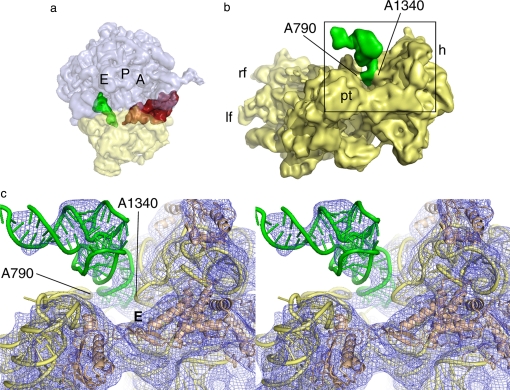 Fig. 4.