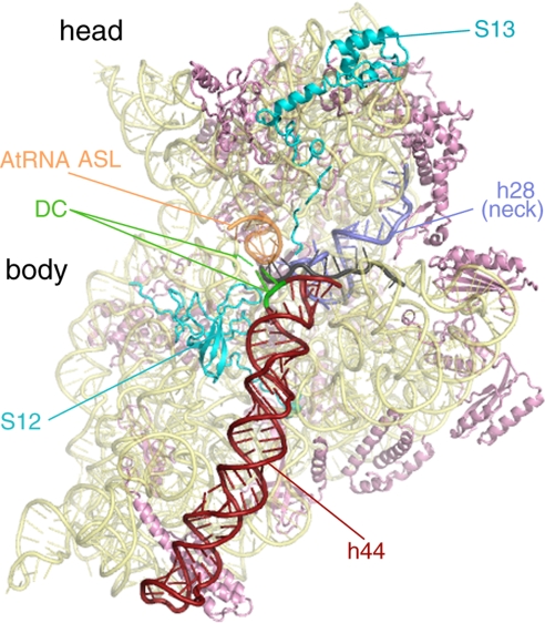 Fig. 1.