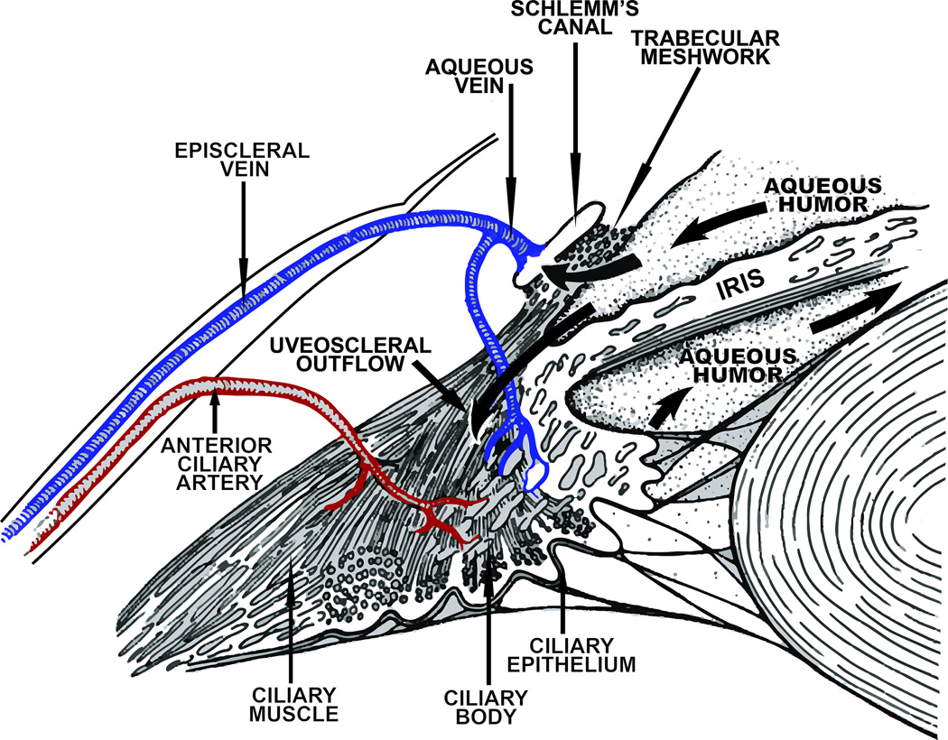 Figure 23