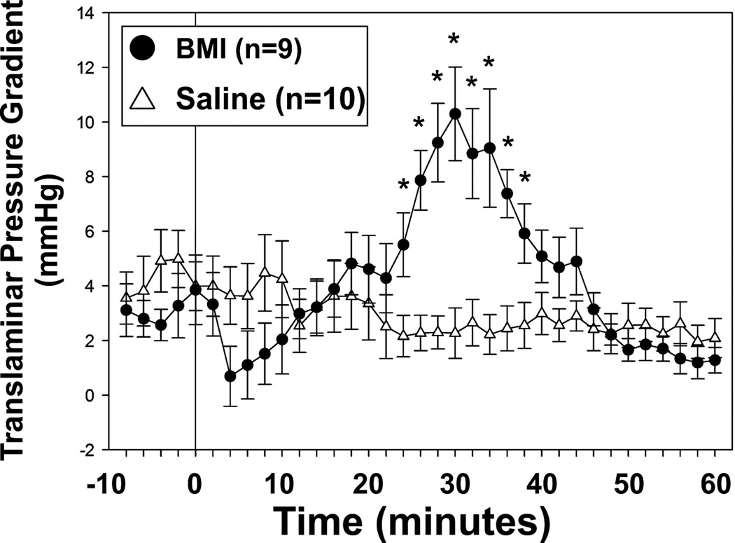 Figure 24