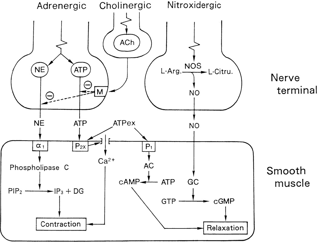 Figure 20