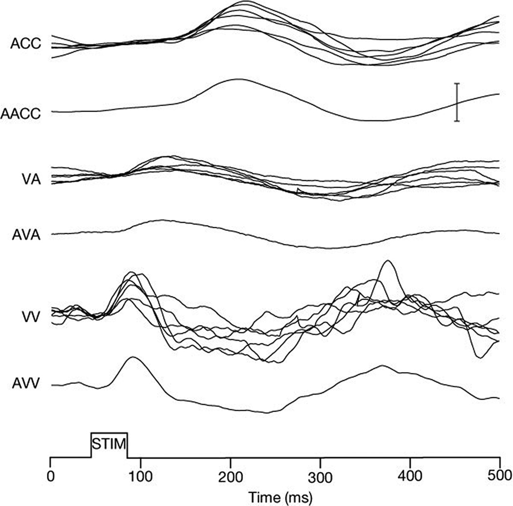 Figure 19