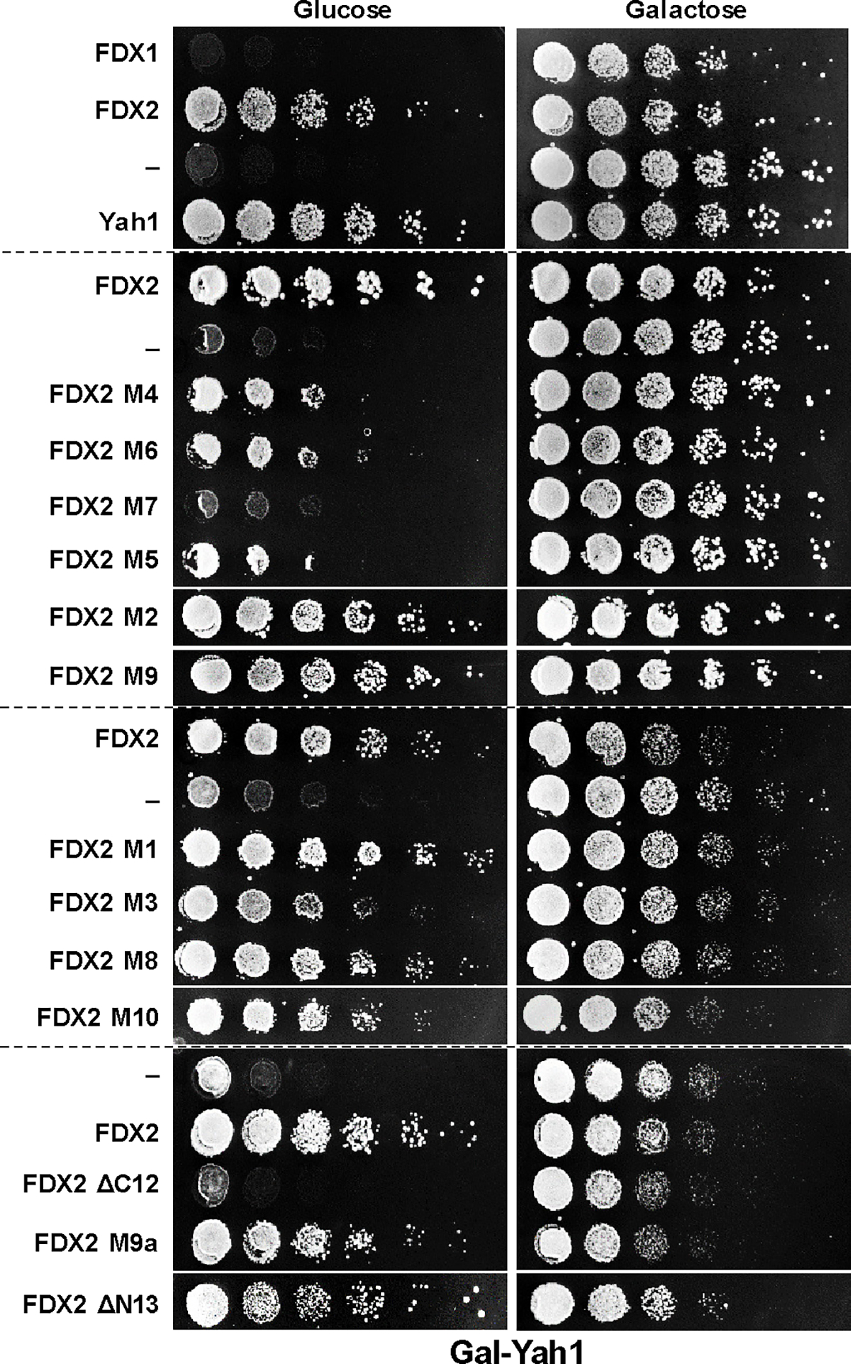 Extended data Figure 9 |