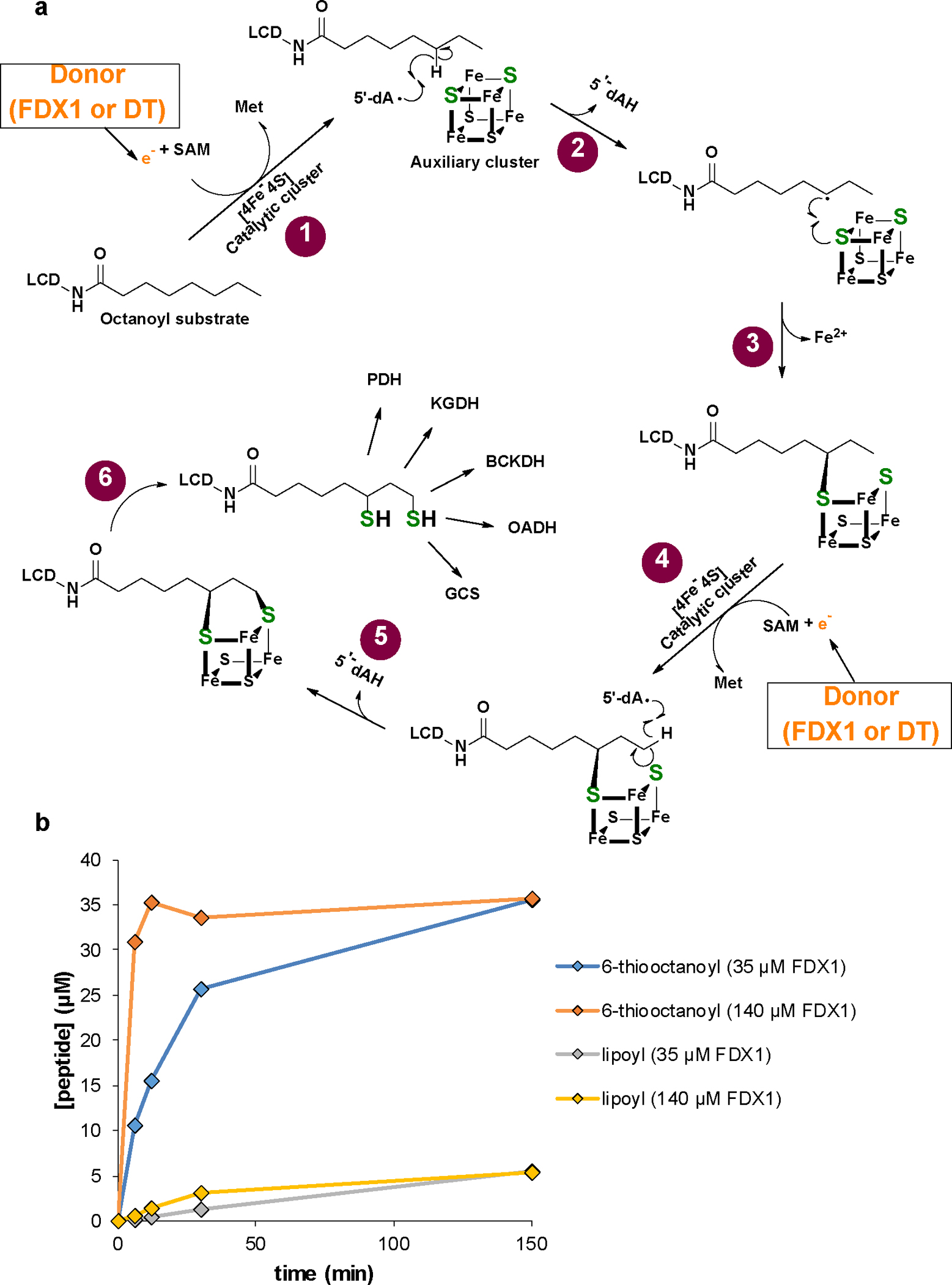 Extended data Figure 6 |