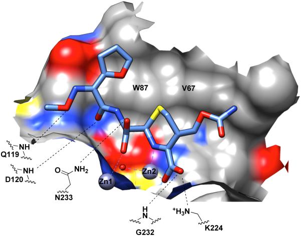 Figure 11