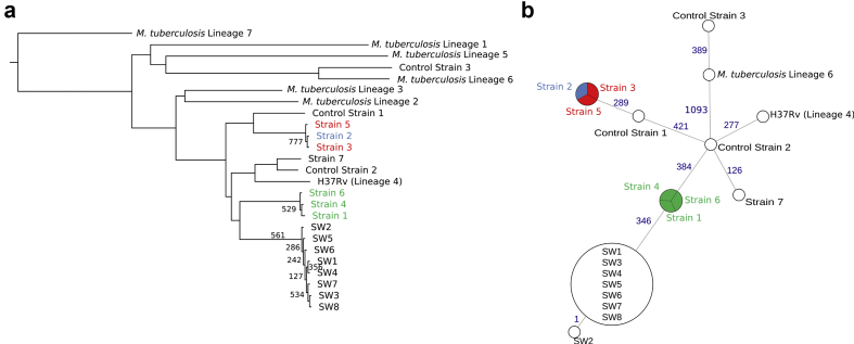 Fig. 3