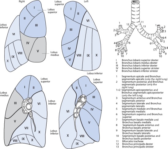 Fig. 19.3