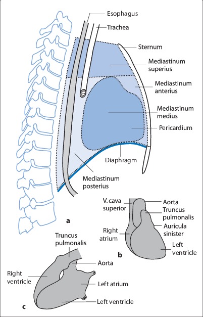 Fig. 19.6a–c
