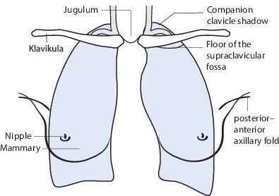 Fig. 19.26