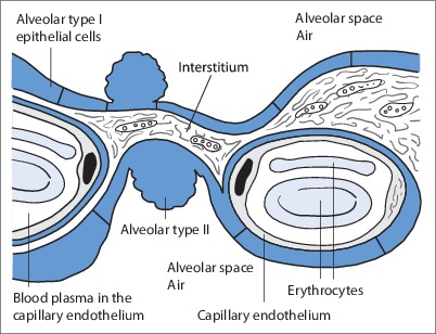 Fig. 19.21