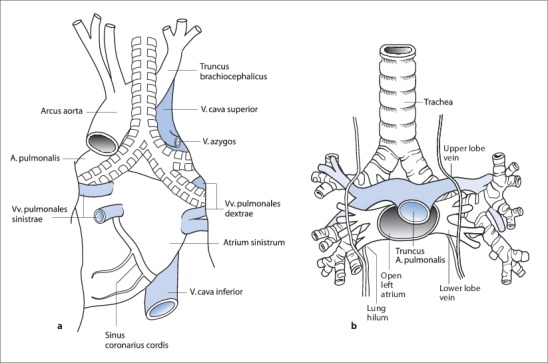 Fig. 19.22a,b