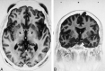 <sc>fig</sc> 3.