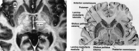 <sc>fig</sc> 1.