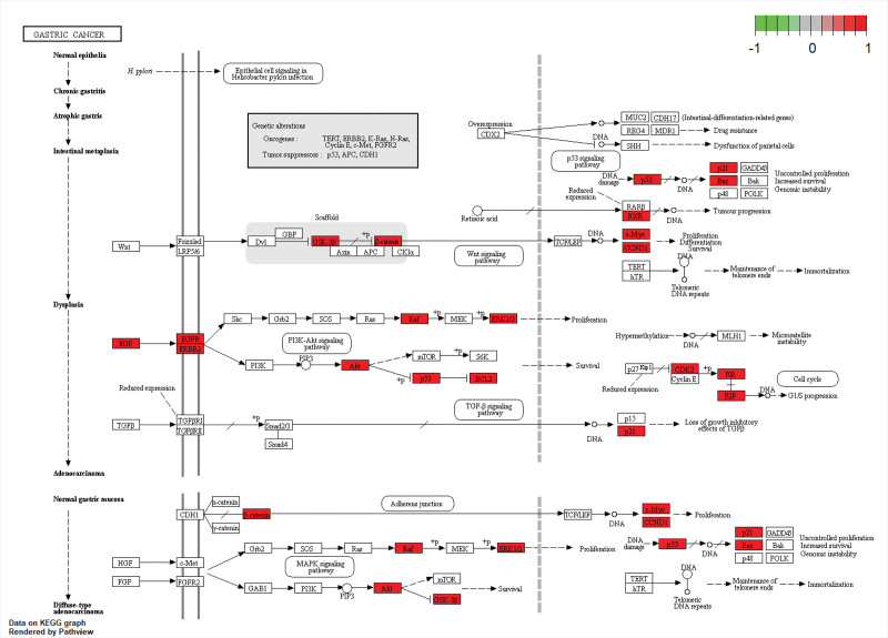 Figure 7.